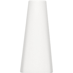 Ваза для цветов фарфор «Опшенс» BAUSCHER