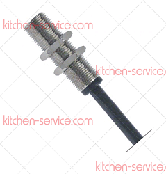 Микровыключатель магнитный М10Х0 для ANGELO PO 32W1890, (32W3460)