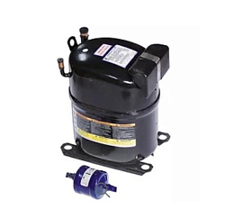 Компрессор RS55C1E-PAZ-213 для SCOTSMAN (1800872122)