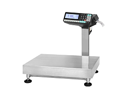 Весы товарные с печатью и регистрацией TB-5040N-32.2-RP3n МАССА-К