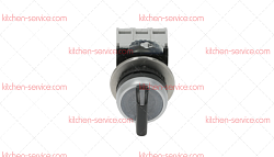 Переключатель двухполюсный для печи (1319331)