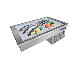 Ванна холодильная встраиваемая STATIC ice для льда ВХВл-2 ФИНИСТ (FINIST)