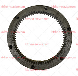 Шестерня внутреннего зацепления для B40A-HD-25 GASTRORAG
