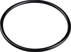 Кольцо уплотнительное для шприца колбасного SIRMAN (LF1211001)