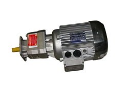 Мотор-редуктор для тестозакаточной машины WLBAKE (F60 00 014)