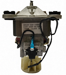 Двигатель B010-19 для GASTRORAG