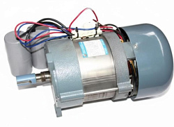 Двигатель для машины тестомесильной HS20 ROAL