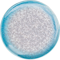 Тарелка 15см фарфор «Нептун» KUNSTWERK