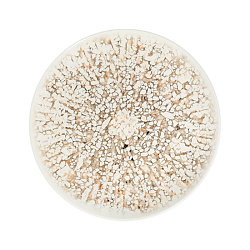 Mosaic Sand Тарелка 28см 1972 BY ID FINE