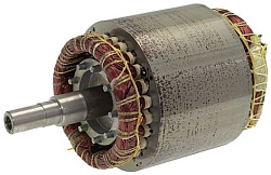 Двигатель 220V для FIORENZATO (270012)