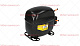Компрессор SC12CL для CORECO (6021010001)