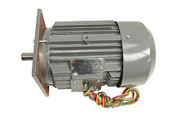 Мотор для HS30B NEW GASTROMIX