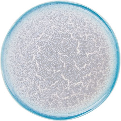 Тарелка 27,9см фарфор «Нептун» KUNSTWERK