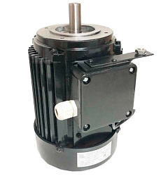 Двигатель STg80/71-4B D1=19 мм 380 В для ТОРГМАШ (г. Барановичи)