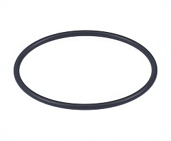 Кольцо уплотнительное круглого сечения для WINTERHALTER (2707052)