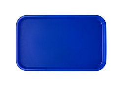 Поднос 52,5х32,5 см голубой, поверхность шагрень (123) MGprof (1737)