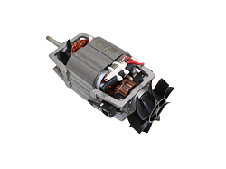 Мотор для IB200/250/400 V.V. 21 JAU
