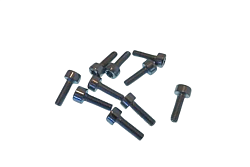 Винт с плоско-выпуклой головкой Torx Т20 М4х12 для RATIONAL (10.00.061P)