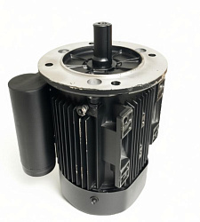 Двигатель АИРЕ 804СУ3 1,5/1500 220 В IМ208 IP54 для ТОРГМАШ (г. Барановичи)